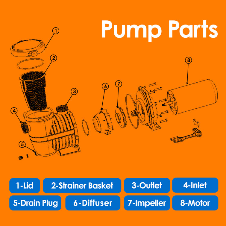 IVY&LANE High Efficiency Pool Pump Wayfair Canada
